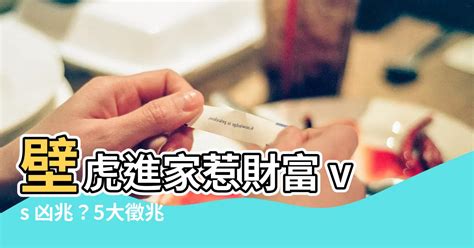 壁虎財運|在風水學中：家裡進壁虎是什麼寓意？4種預兆要「小心」了